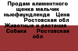 Продам алиментного щенка(мальчик)ньюфаундленда › Цена ­ 16 000 - Ростовская обл. Животные и растения » Собаки   . Ростовская обл.